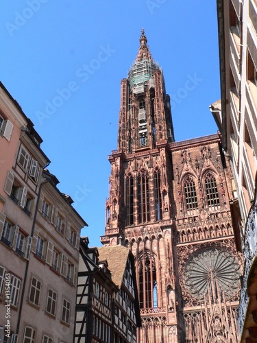 münster in straßbourg