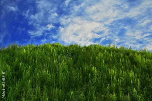 sky grass-3
