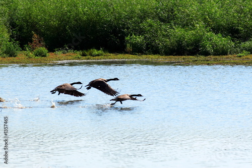 the takeoff - 1