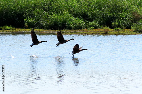 the takeoff - 2