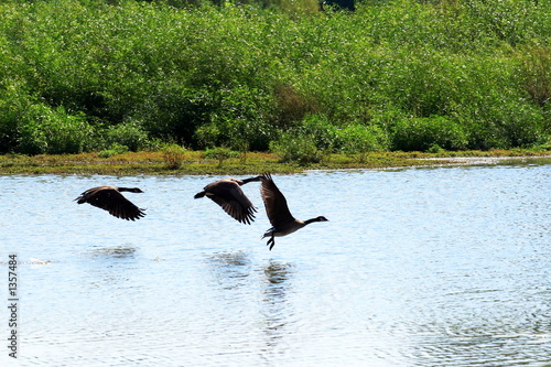 the takeoff - 3