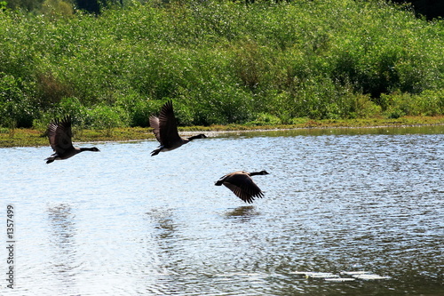 the takeoff - 4