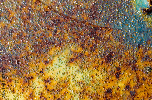 rust and paint © Mary Lane