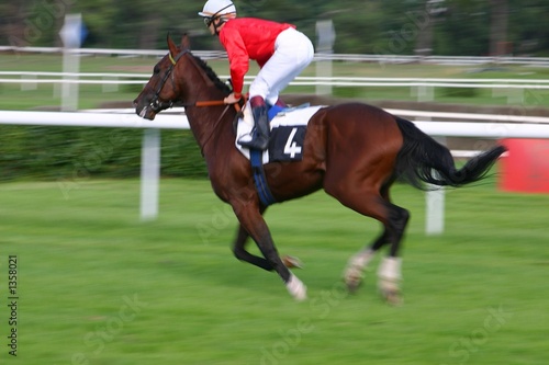 course de chevaux © cafaphotos