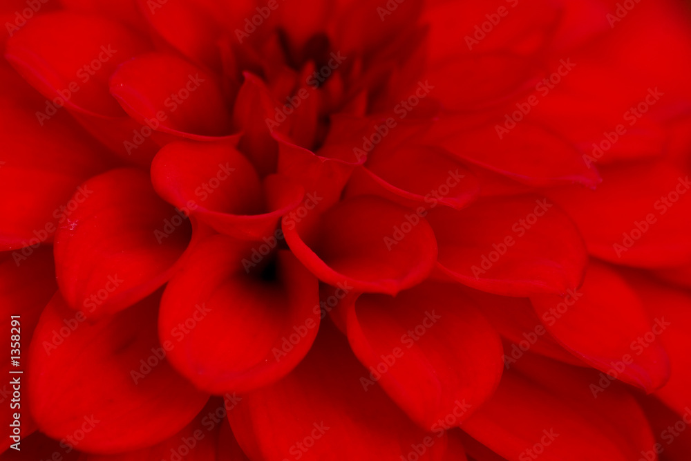 warm red tone warm red tone
