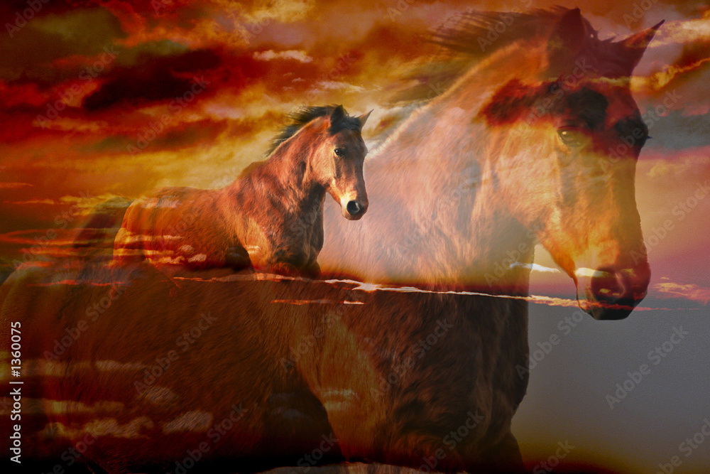 Fototapeta Galopujący koń w chmurach o zachodzie słońca, sen