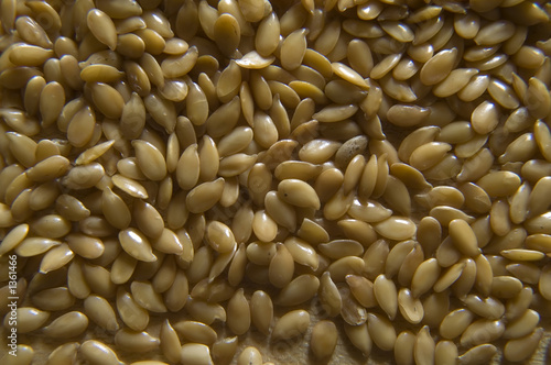 linseed 2