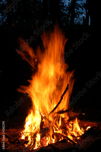 bonfire