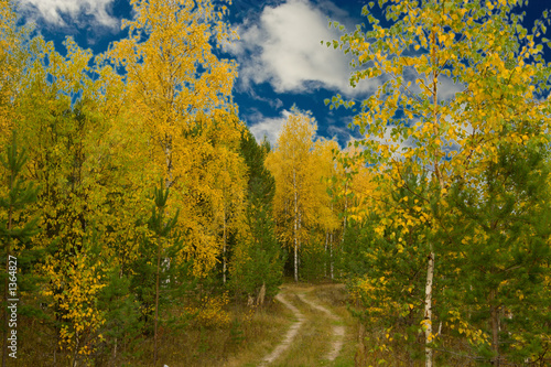 wood road