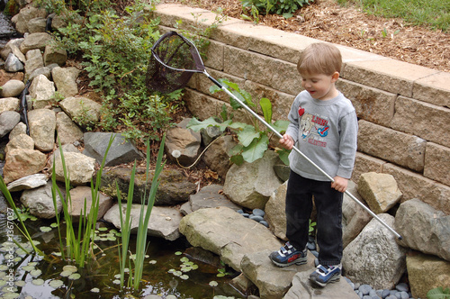 little boy hunting frogs