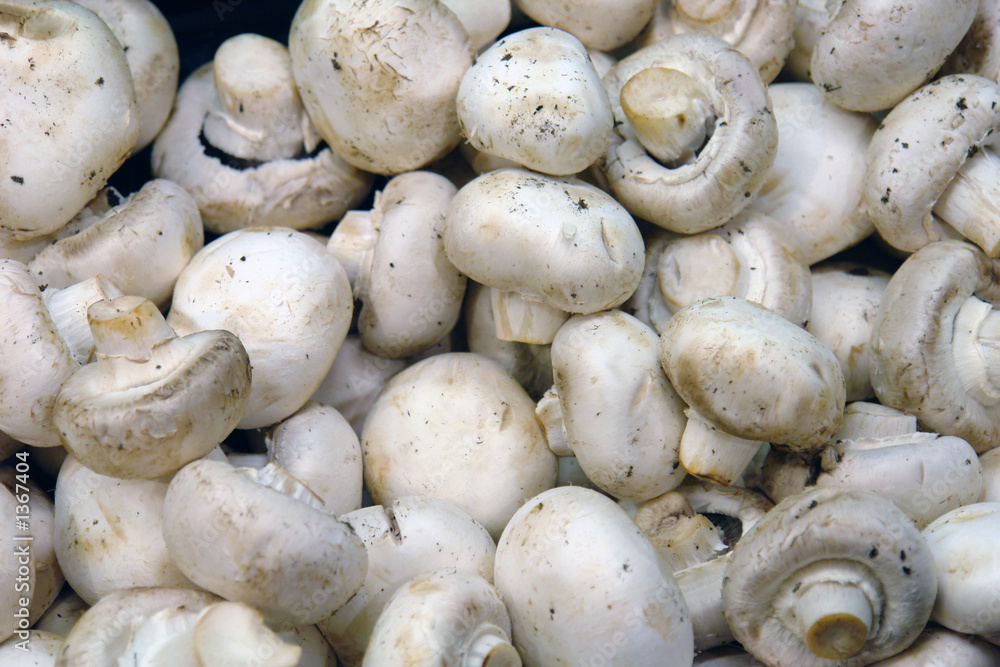 full display of white mushrooms