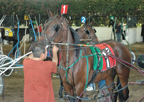 getting ready to race 2 photo