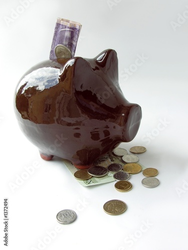 brown ceramic pig-money-box photo