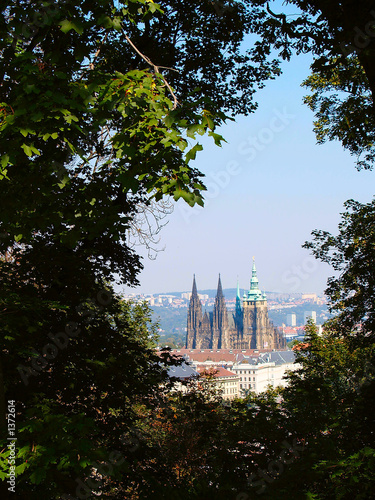 Canvas Print cathedrale in prague