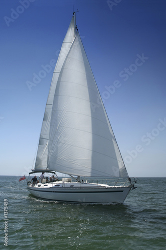 white sails photo