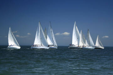Acrylglasbilder Wasser Motorsport Start einer Segelregatta auf offener See  © Taiga