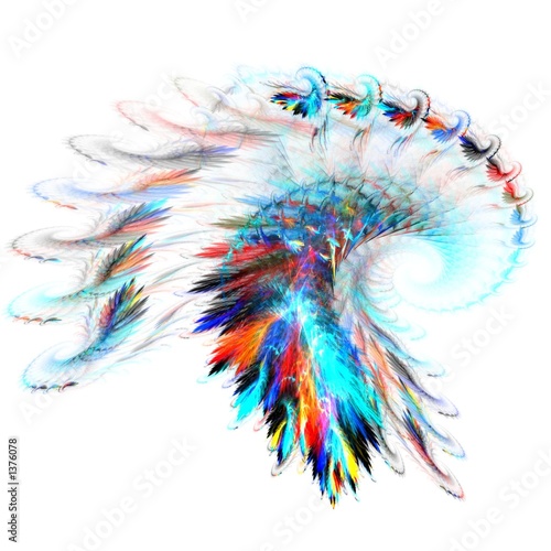 rainbow feathers