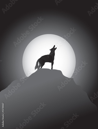 coyote howling at the moon