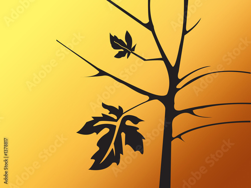 fall autumn
