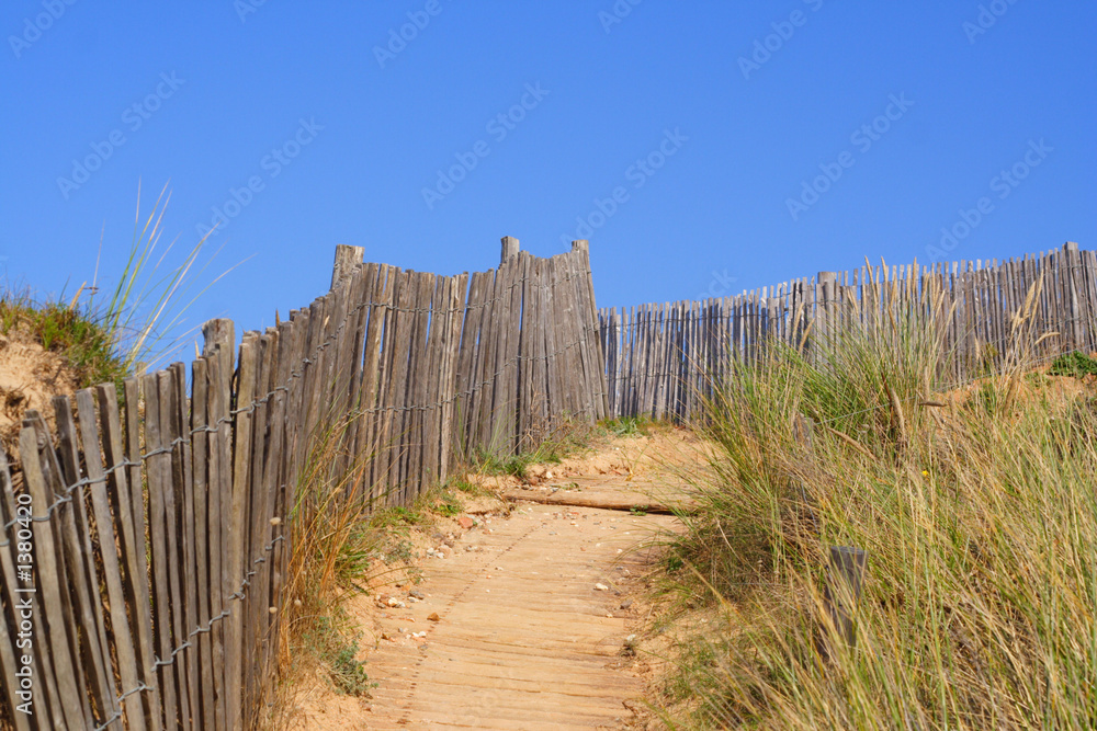 chemin dans les dunes