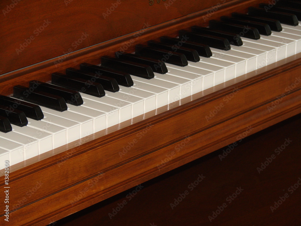 section of ivories section of ivories