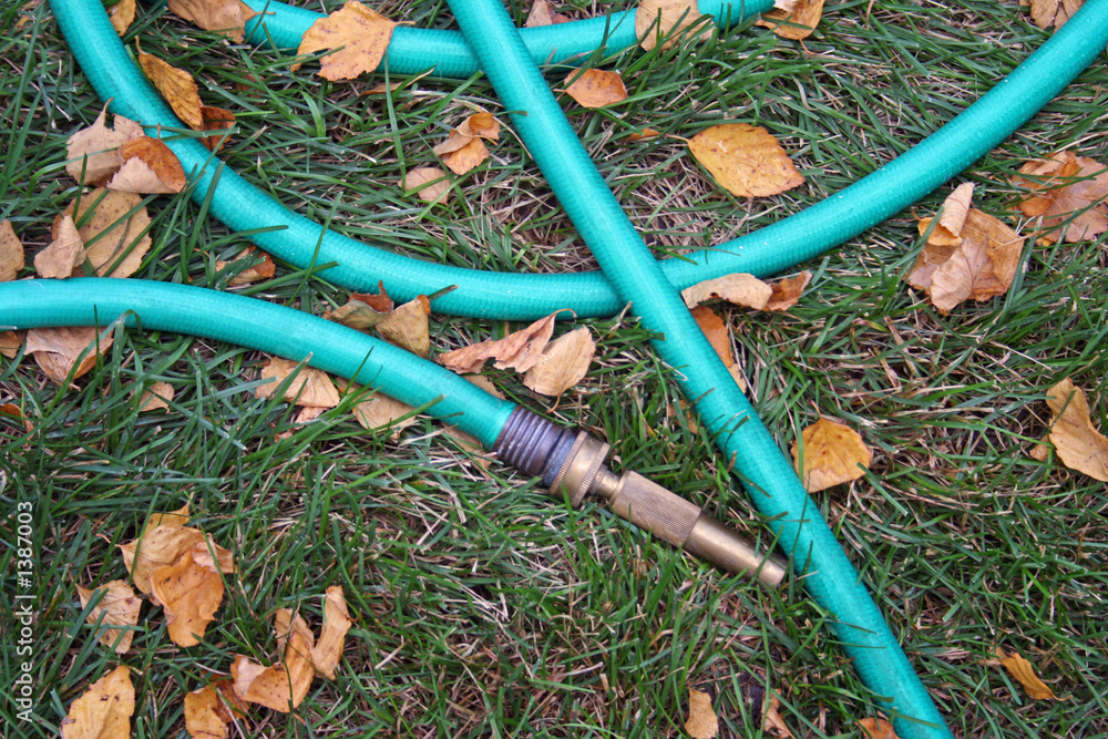 Naklejka premium garden hose
