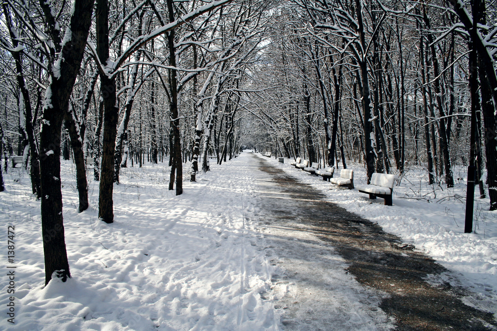 snowy way snowy way