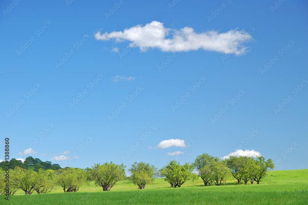 Obraz premium rural spring countryside