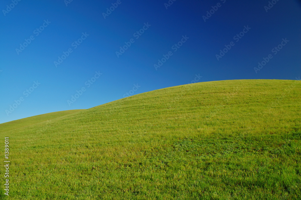 rural spring countryside