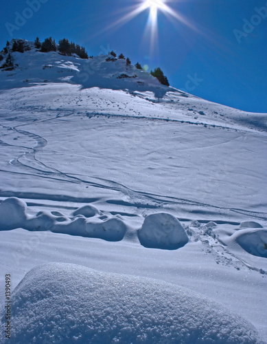 winter wonderland