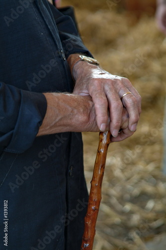 maquignon © Dominique VERNIER