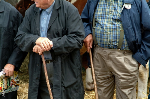 Schilderij op canvas marché