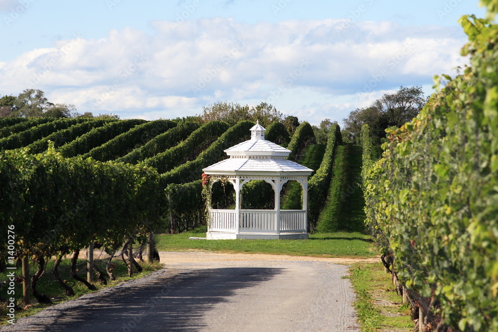 vineyard gazabo