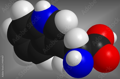 the molecule of tryptophane
