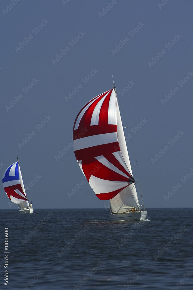 Fototapeta premium sailing. the winner and losed.