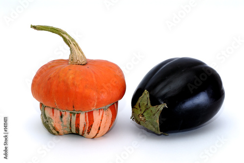 pumpkin and eggplant photo