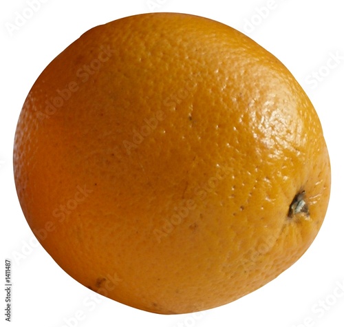 orange photo