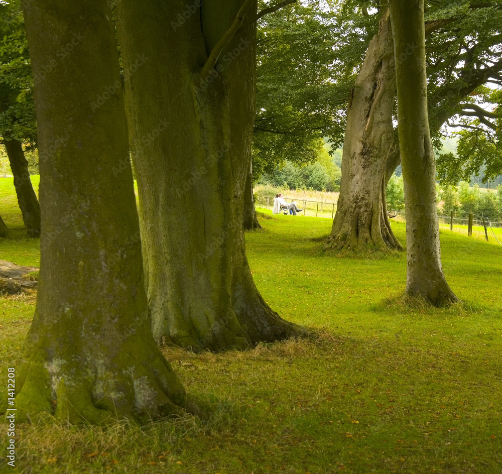 broadway country park the cotswolds worcestershire broadway country park the cotswolds worcestershire