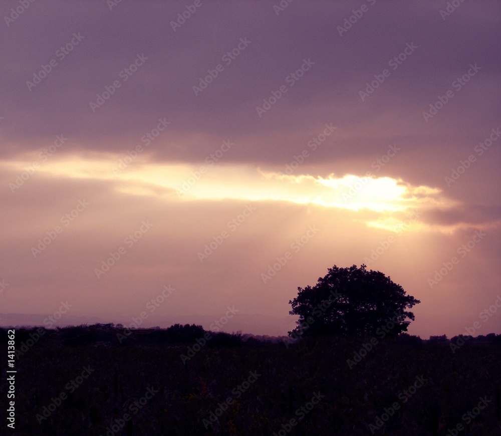 Fototapeta premium ciel et rayons lumineux