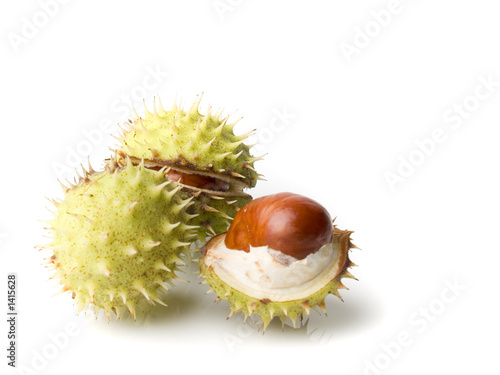 three chestnut