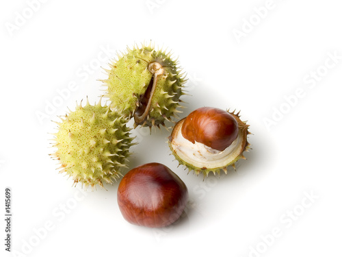 four chestnuts