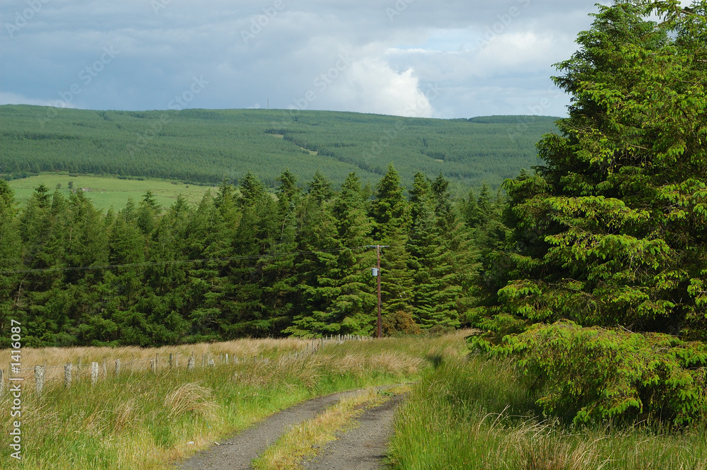 Obraz premium irish landscape