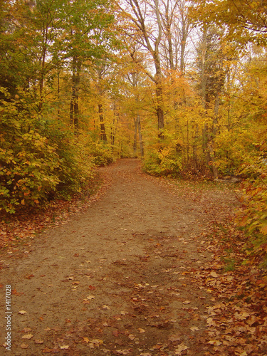 autumn dirt pathway © Chris Hill