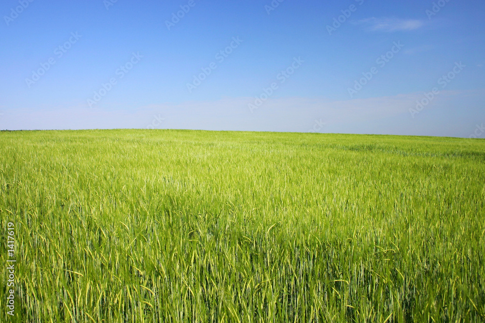 green and blue - landscape