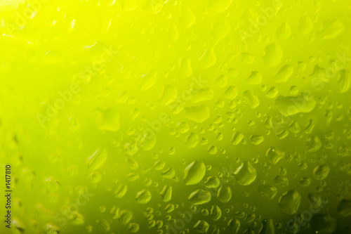 Εκτύπωση καμβά limon