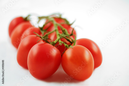Canvas Print vine tomatoes with shallow dof