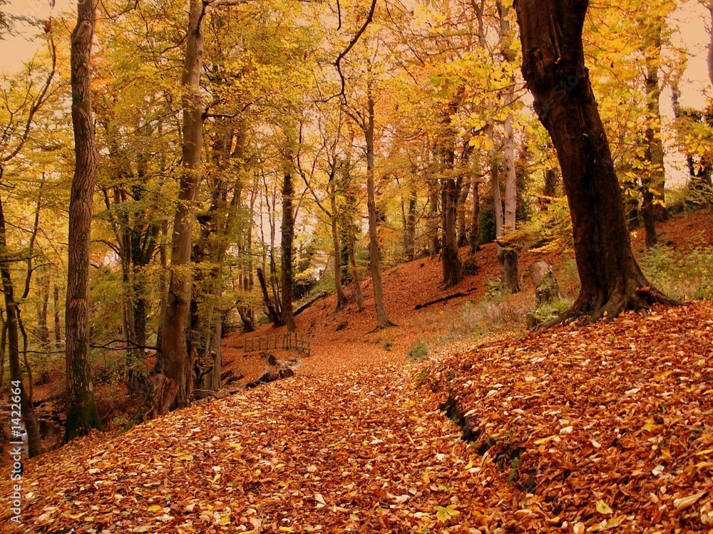 burnished autumn gold burnished autumn gold