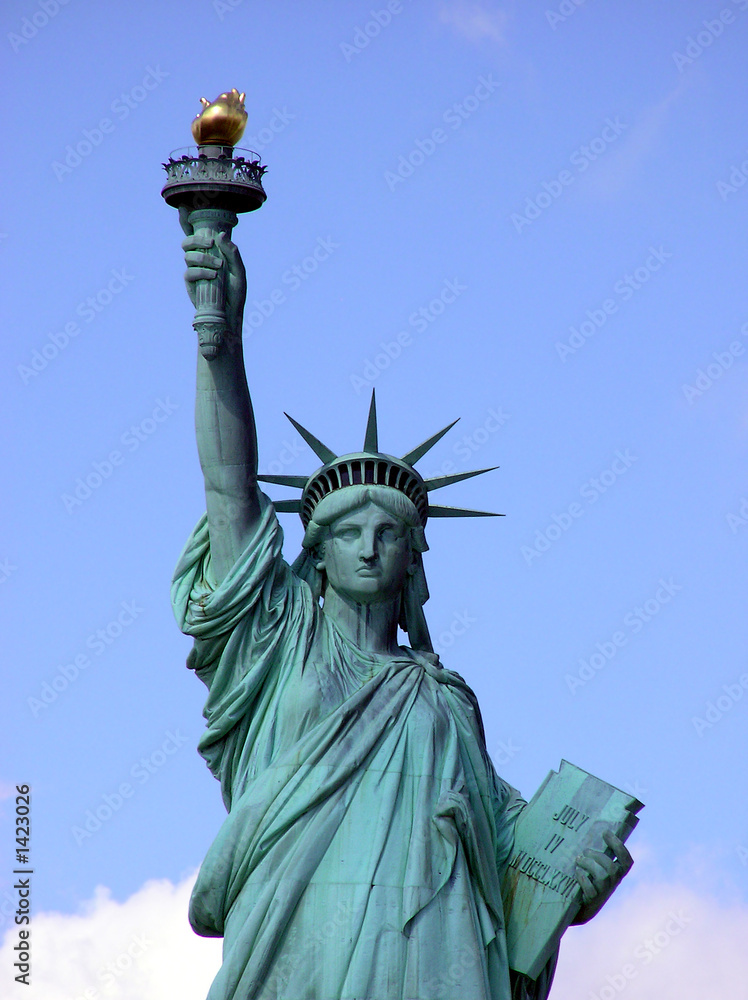Fototapeta premium statue of liberty