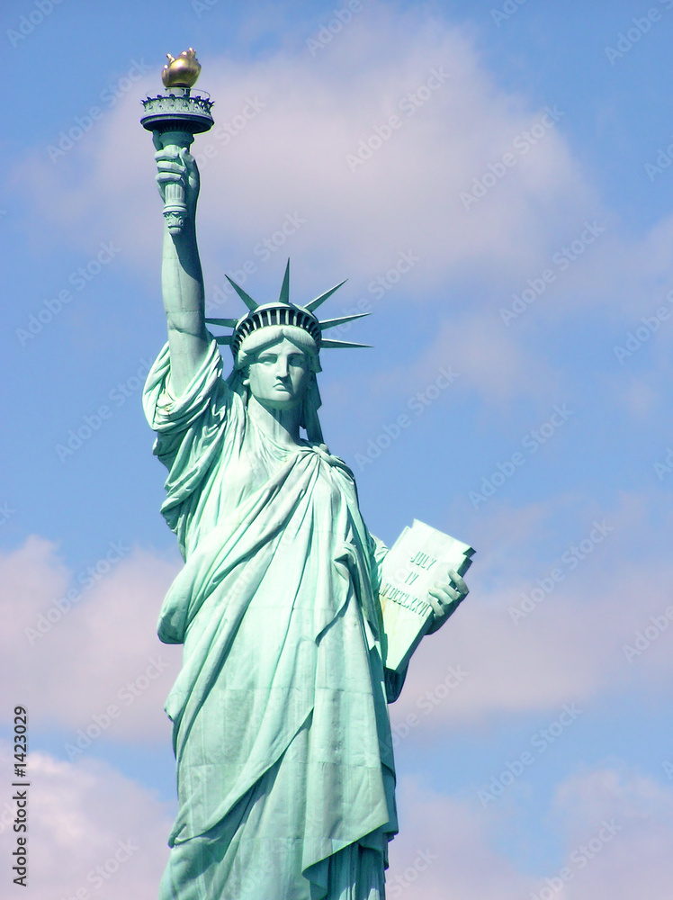 Naklejka premium statue of liberty in sunlight