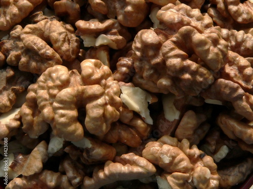 walnuts photo